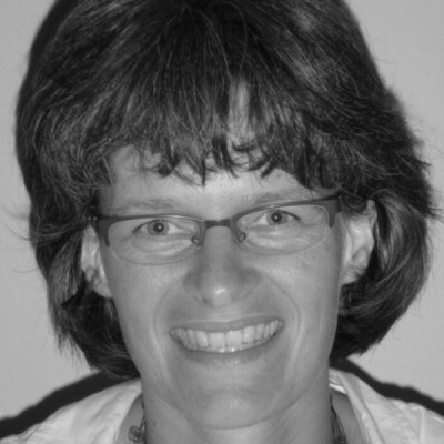 ir. M.J. van der Werf-de Visser (Monique)